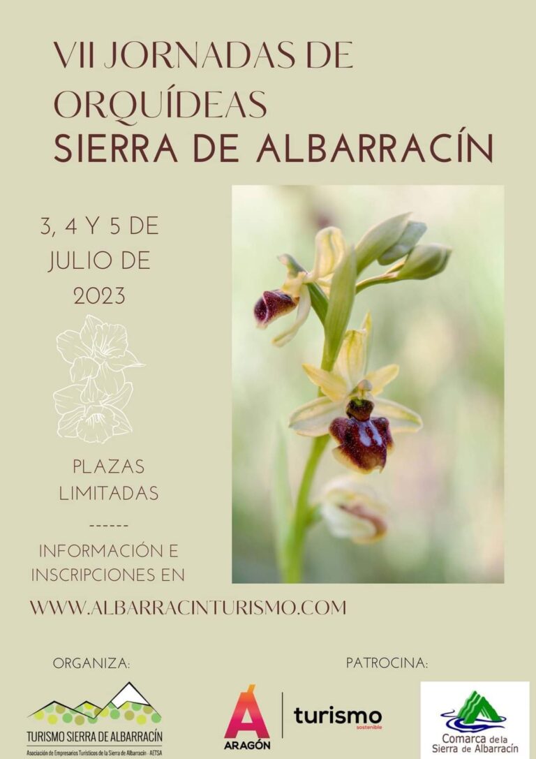 VII Jornadas Orquídeas Sierra de Albarracín 2023